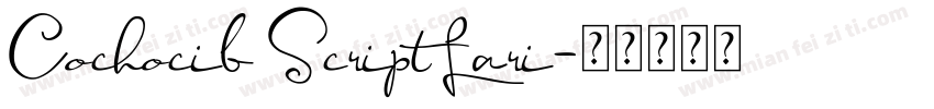 Cochocib Script Lari字体转换